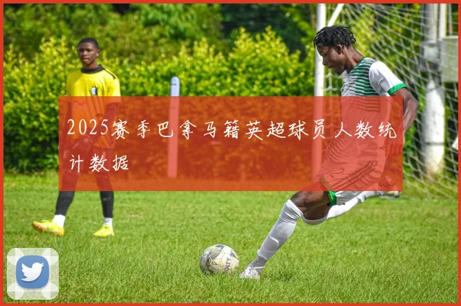 2025赛季巴拿马籍英超球员人数统计数据
