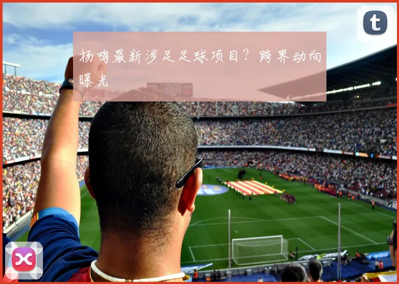 杨鸣最新涉足足球项目？跨界动向曝光