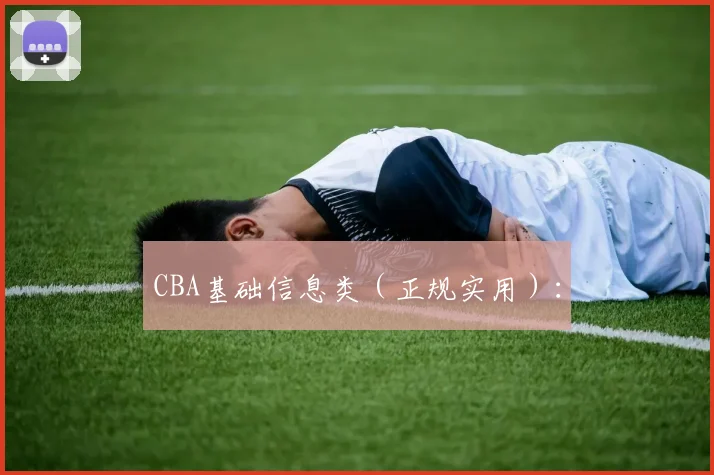 CBA基础信息类（正规实用）：