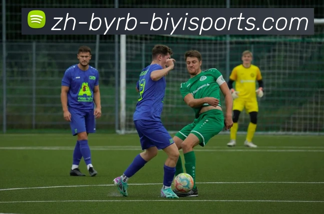 必一体育官方网站品牌故事